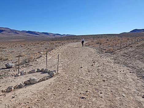 BLM 100 Trail