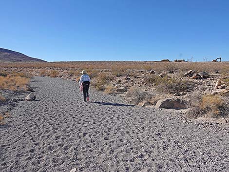 BLM 100 Trail