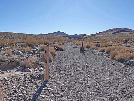 BLM 100 Trail