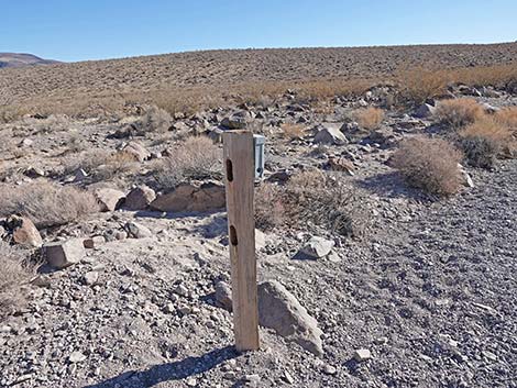 BLM 100 Trail