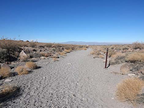 Petroglyph Canyon Trail