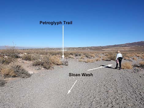 Petroglyph Canyon Trail