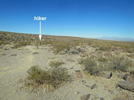 Petroglyph Trail