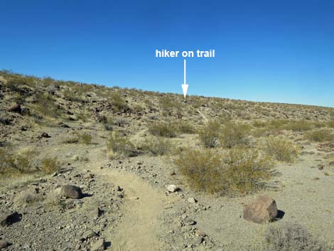 Petroglyph Trail