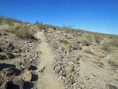 Petroglyph Trail