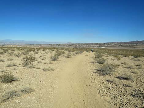 Petroglyph Trail