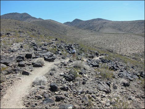 Park Peak Trail