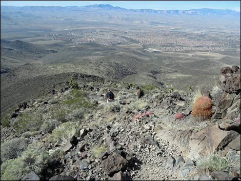 BLM 404 Trail