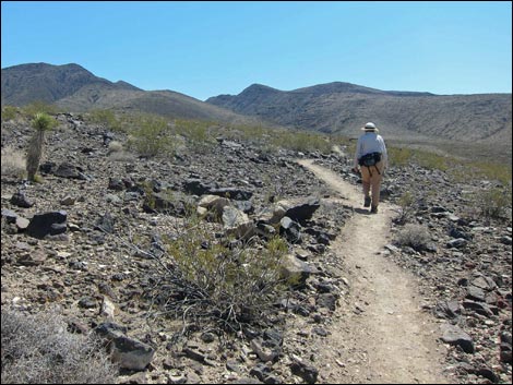 Park Peak Trail