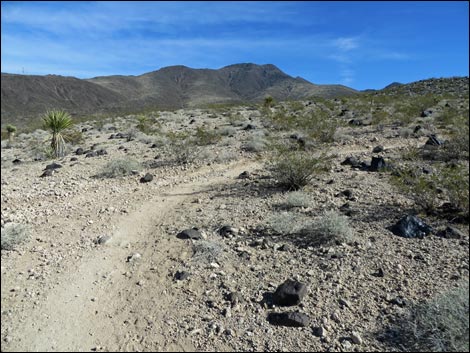 BLM 404 Trail