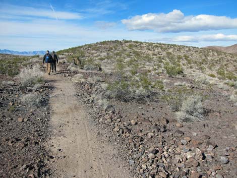 McCullough Hills Trail