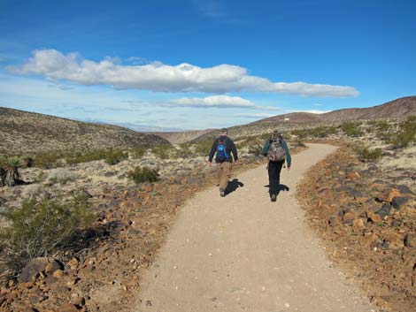 McCullough Hills Trail