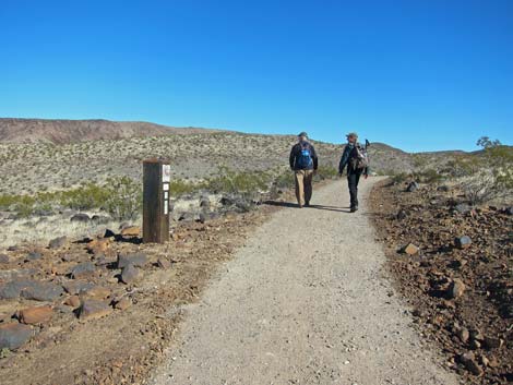 McCullough Hills Trail