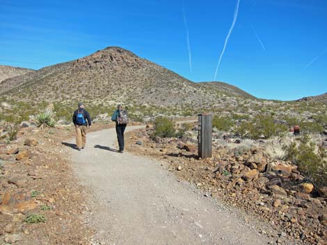 McCullough Hills Trail