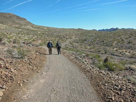 McCullough Hills Trail