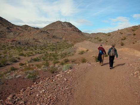 McCullough Hills Trail