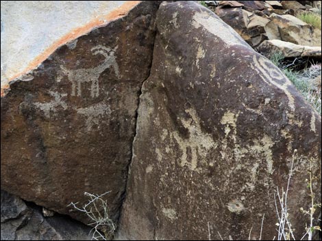 Sloan Canyon Petroglyphs