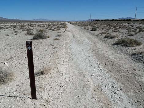 Aliente Loop Trail