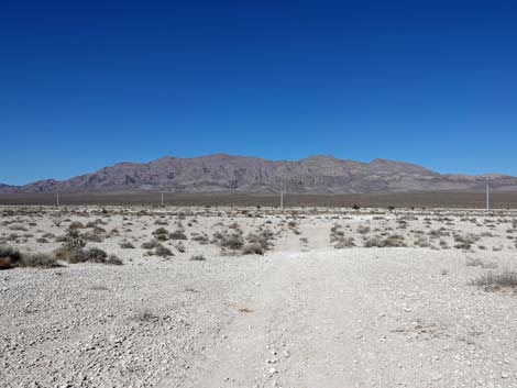 Aliente Loop Trail