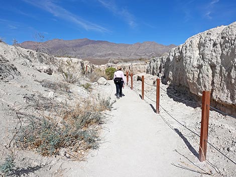 Big Dig Trail