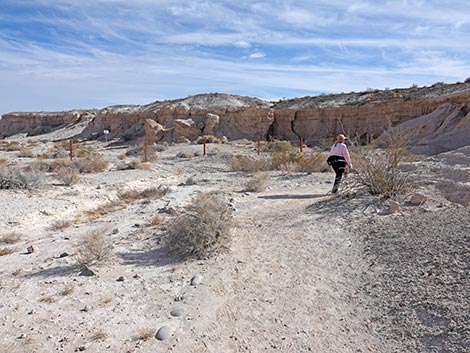 Big Dig Trail