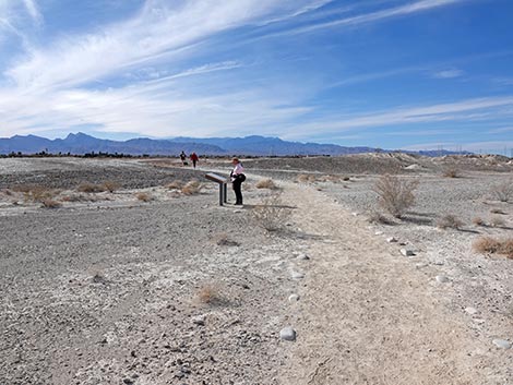 Big Dig Trail