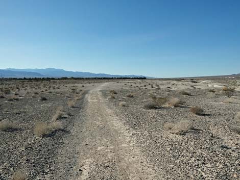 Aliente Loop Trail