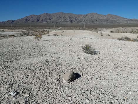 Aliente Loop Trail