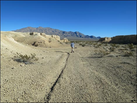 Tule Springs National Monument