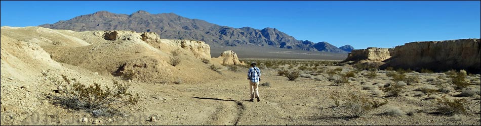 Tule Springs Fossil Beds National Monument