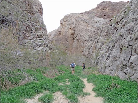 Arrow Canyon