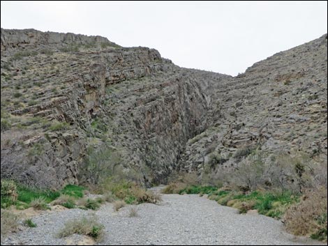 Arrow Canyon