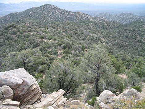 McCullough Mountain Ridges Route