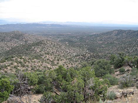 McCullough Mountain Ridges Route