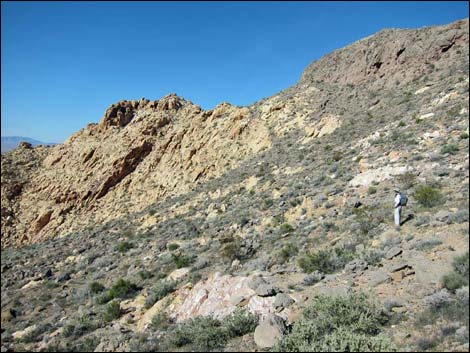 Colorock Canyon Loop