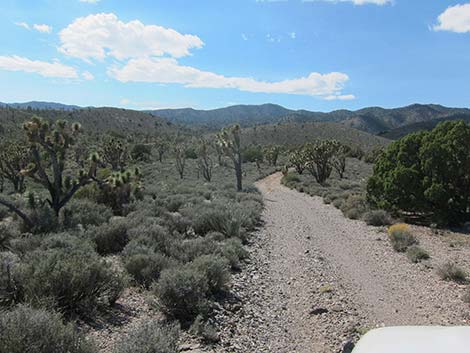 Pine Spring Road, South Fork