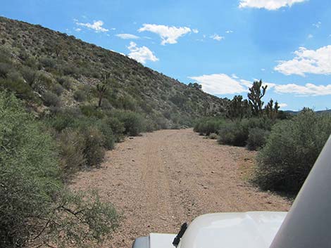 Pine Spring Road, South Fork