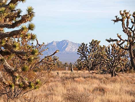 El Dorado Wagon Road Trail