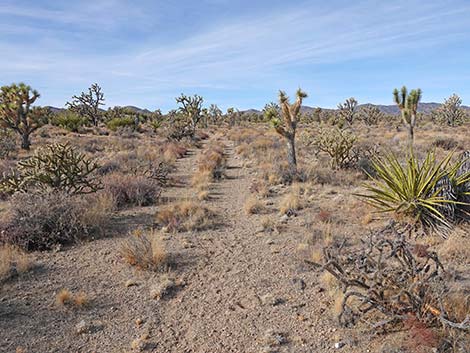 El Dorado Wagon Road Trail