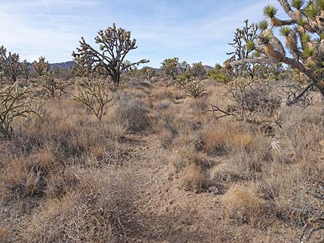 El Dorado Wagon Road Trail