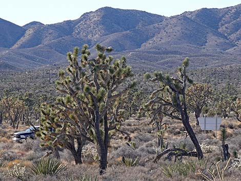 El Dorado Wagon Road Trail