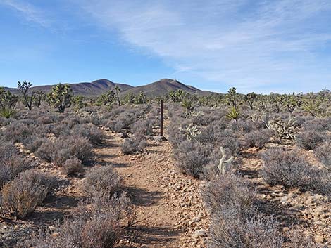 El Dorado Wagon Road Trail