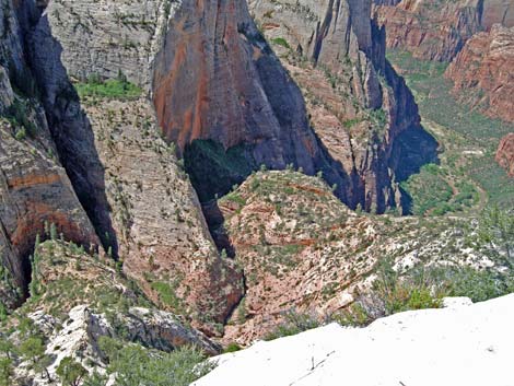 Observation Point Trail