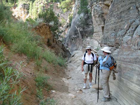 Orderville Canyon