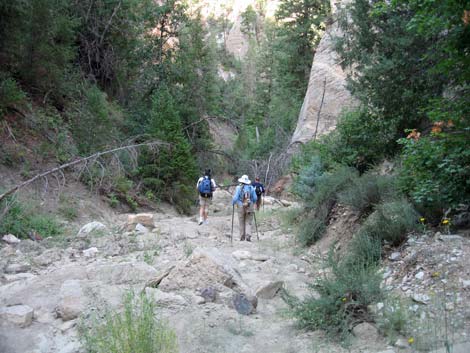 Orderville Canyon