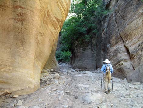 Orderville Canyon