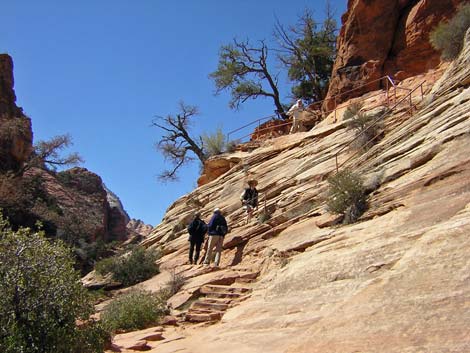 Canyon Overlook Trail