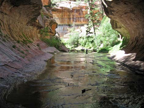 Zion Subway