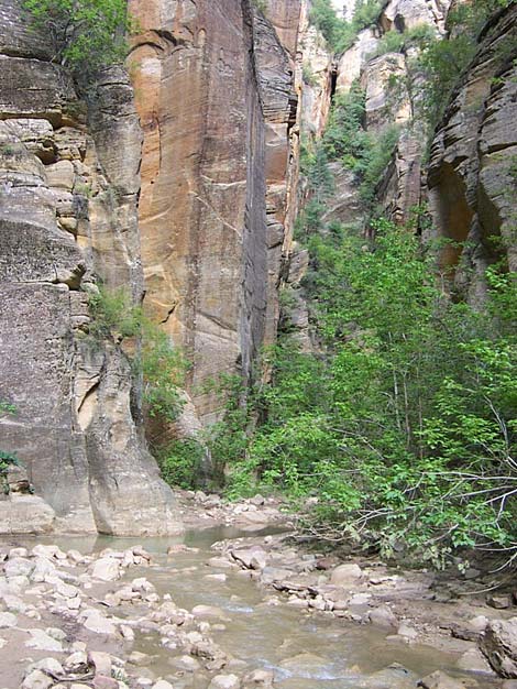 Zion Virgin River Narrows