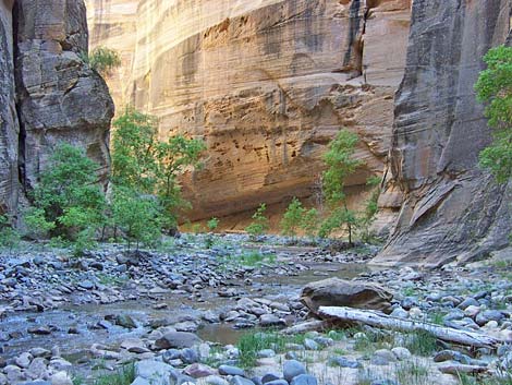 Zion Virgin River Narrows